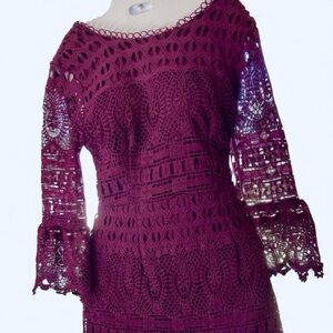 Plum Crochet Lace Dress Francesca’s S